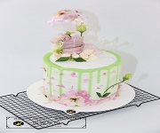 東莞塘廈蓮湖招聘面包中工、裱花中工，3500-4000，先到先得！